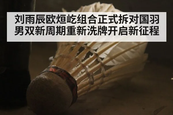刘雨辰欧烜屹组合正式拆对国羽男双新周期重新洗牌开启新征程
