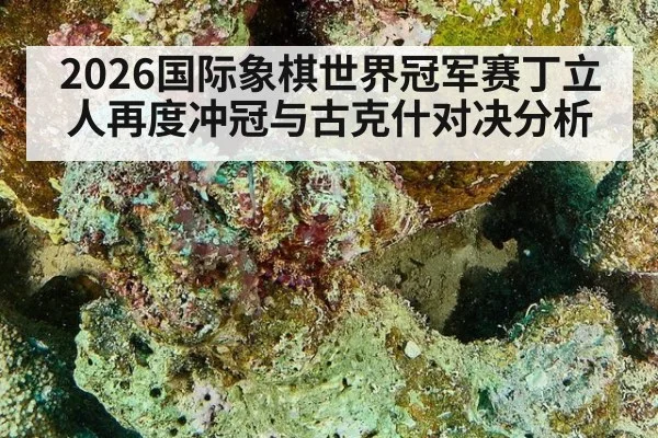 2026国际象棋世界冠军赛丁立人再度冲冠与古克什对决分析